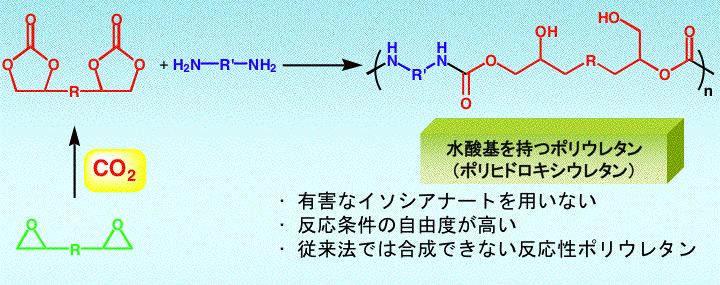 ポリヒドロキシウレタンの合成